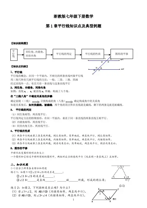 浙教版七年级下数学知识点经典题目