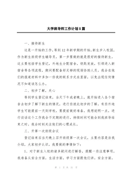 大学班导师工作计划5篇