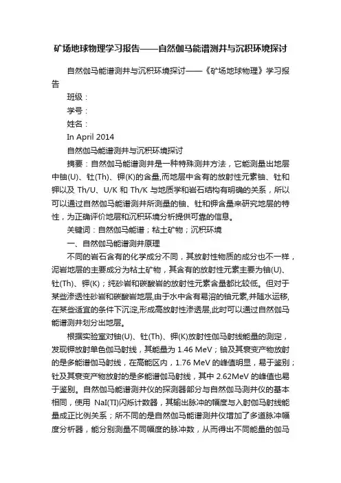 矿场地球物理学习报告——自然伽马能谱测井与沉积环境探讨