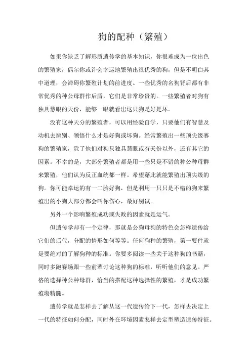 狗的配种（繁殖）