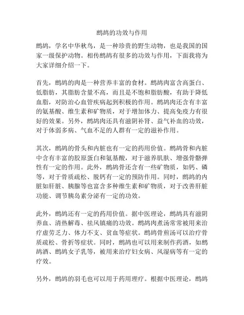 鹧鸪的功效与作用