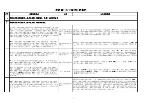 经济责任审计发现问题案例