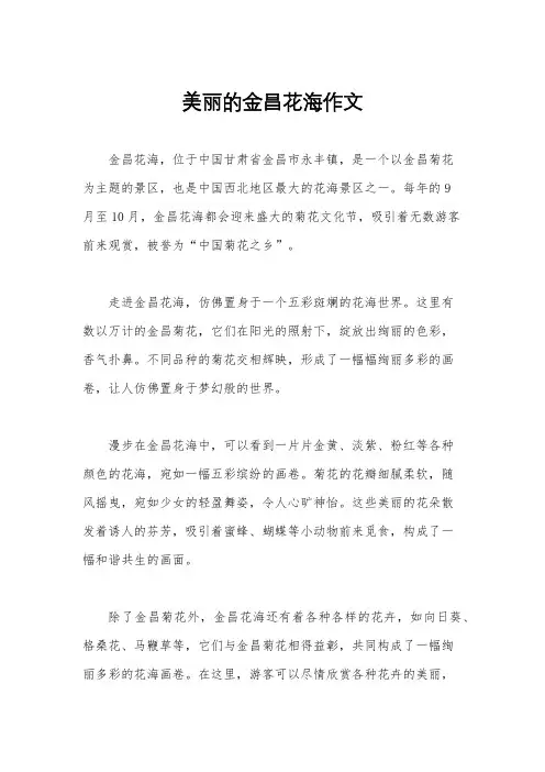 美丽的金昌花海作文