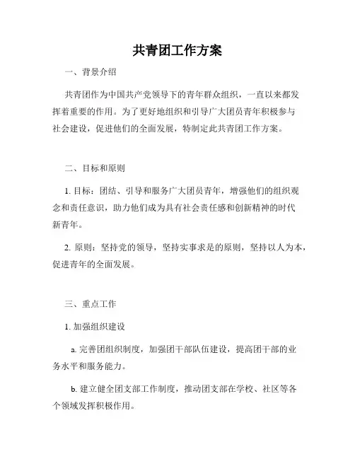 共青团工作方案