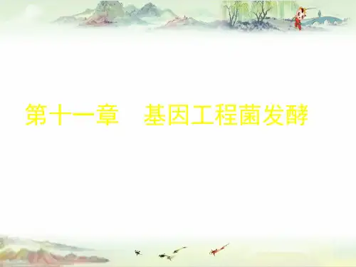 第11章 基因工程菌发酵——【发酵工程 精】