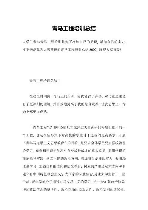 青马工程培训总结