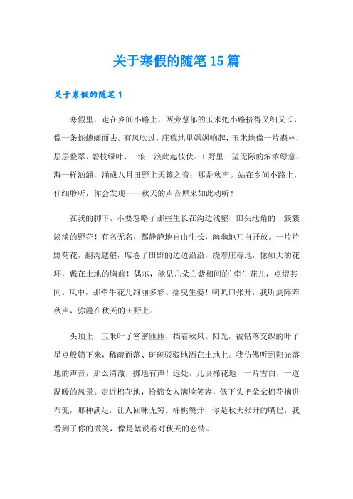关于寒假的随笔15篇