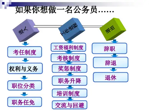 公务员制度申诉与控告(4)PPT课件