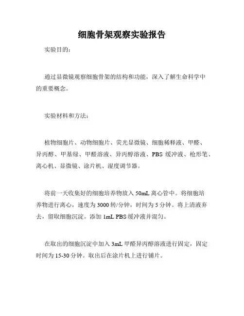 细胞骨架观察实验报告