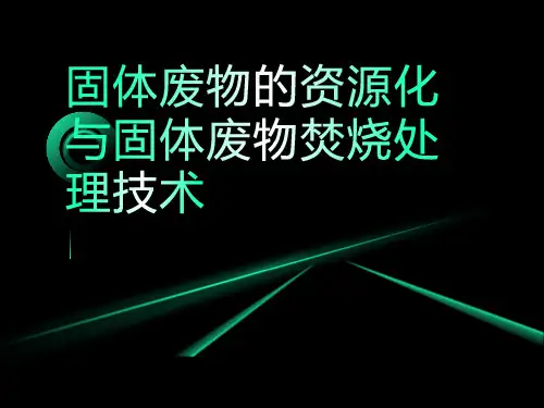 固体废物的资源化与固体废物焚烧处理技术