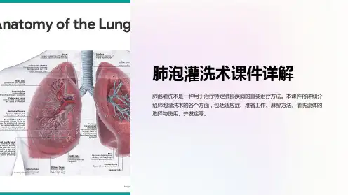 肺泡灌洗术课件详解