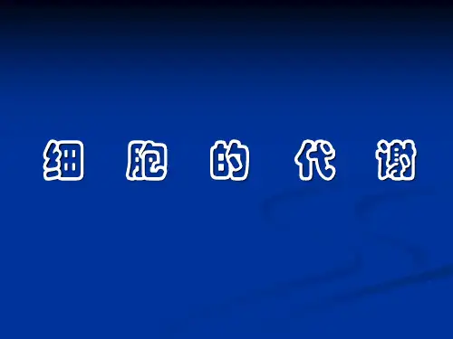 细胞代谢专题PPT课件