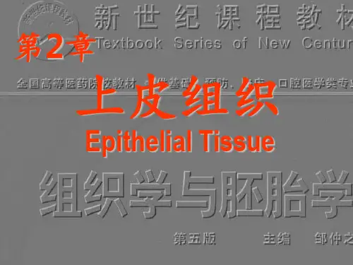 组织学与胚胎学之上皮组织  ppt课件