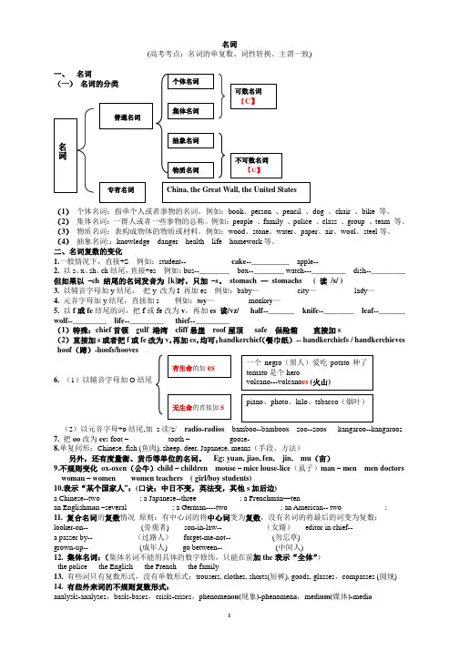 名词的使用-高考英语二轮复习学案(无答案)