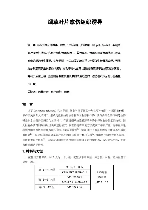 植物烟草实验