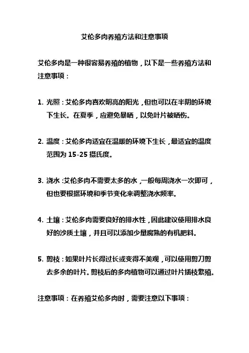 艾伦多肉养殖方法和注意事项