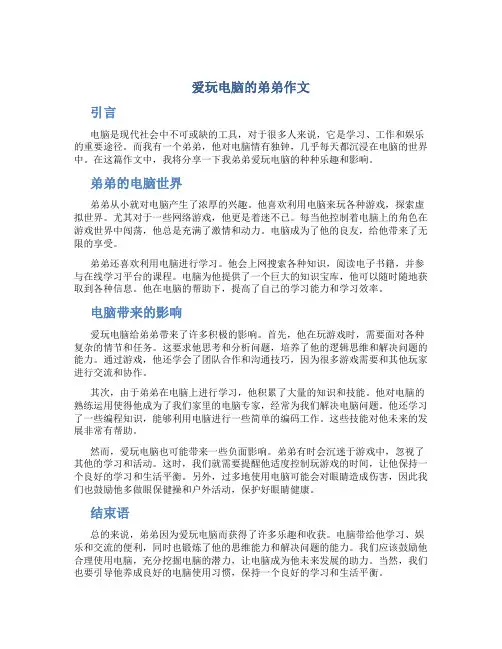 爱玩电脑的弟弟作文