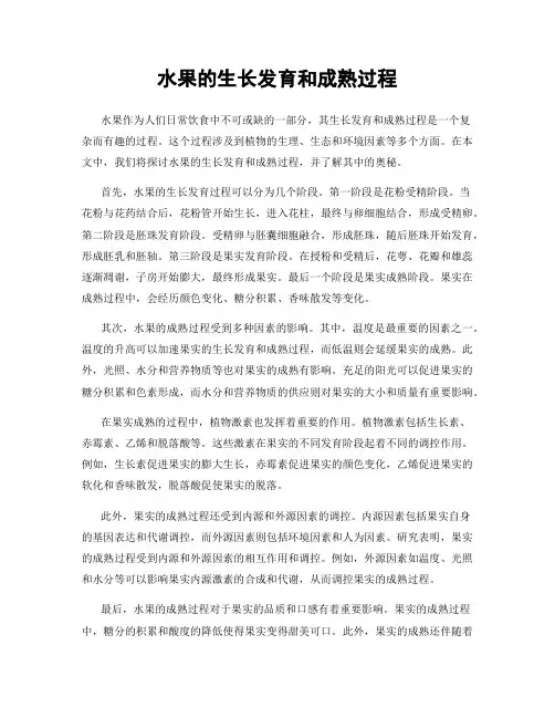 水果的生长发育和成熟过程