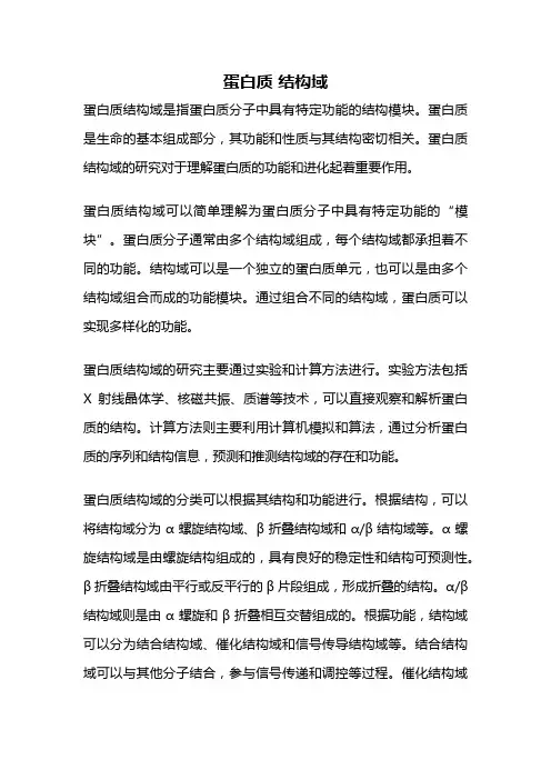 蛋白质 结构域