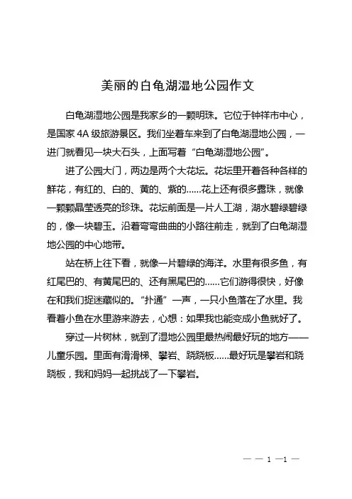 美丽的白龟湖湿地公园作文