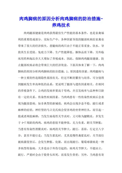 肉鸡脚病的原因分析 肉鸡脚病的防治措施 - 养鸡技术