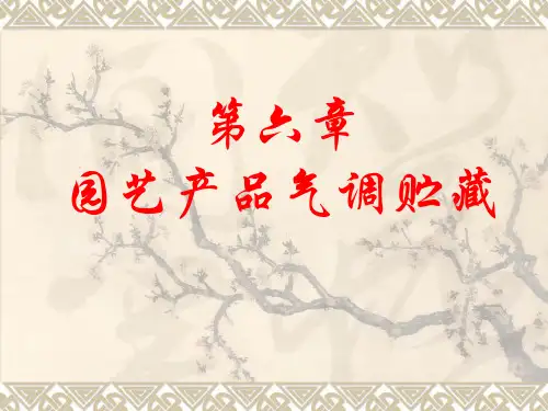 第五组气调贮藏课件