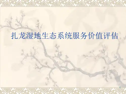扎龙湿地生态系统服务价值评估PPT课件