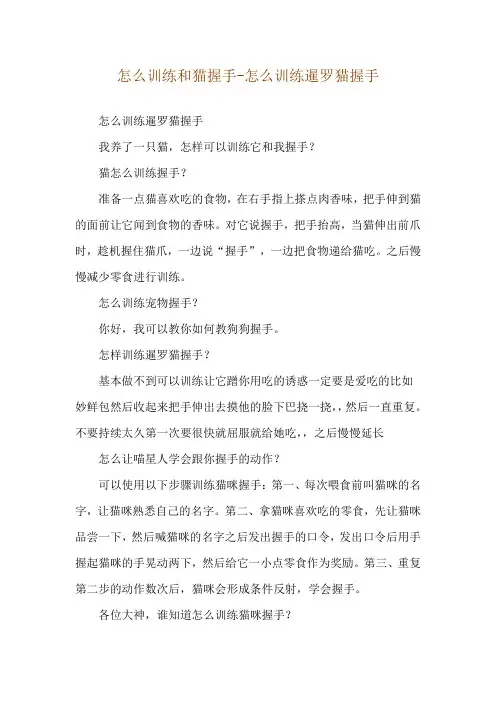 怎么训练和猫握手-怎么训练暹罗猫握手