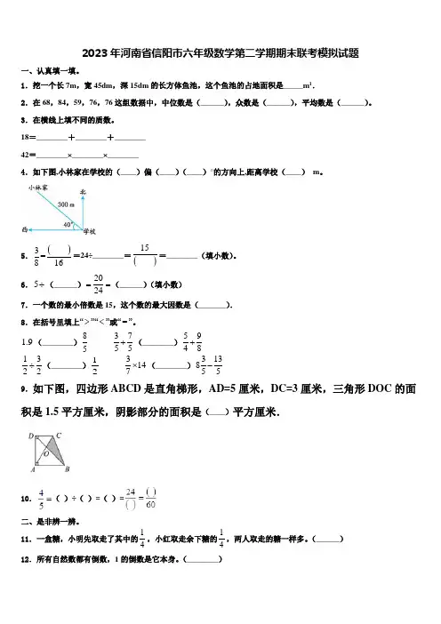 2023年河南省信阳市六年级数学第二学期期末联考模拟试题含解析