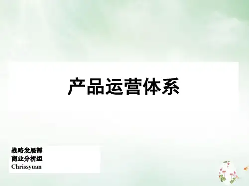 某公司产品运营体系方案(PPT54页)