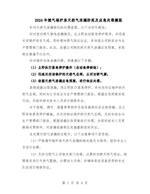 2024年燃气锅炉房天然气泄漏防范及应急处理模版（二篇）