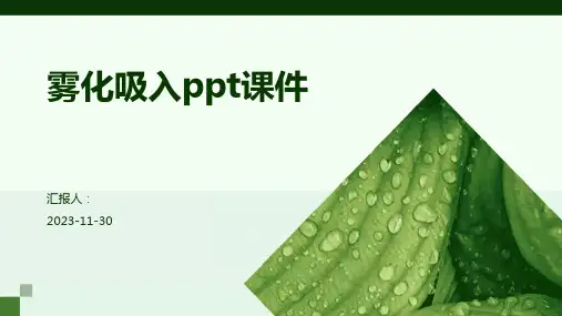 雾化吸入ppt课件