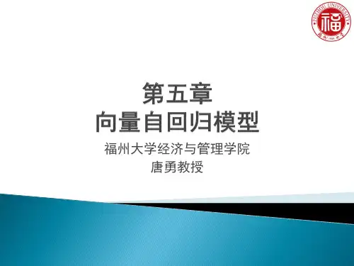 金融计量学,唐勇,课件