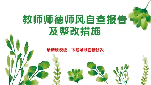 教师师德师风自查报告及整改措施PPT模板下载