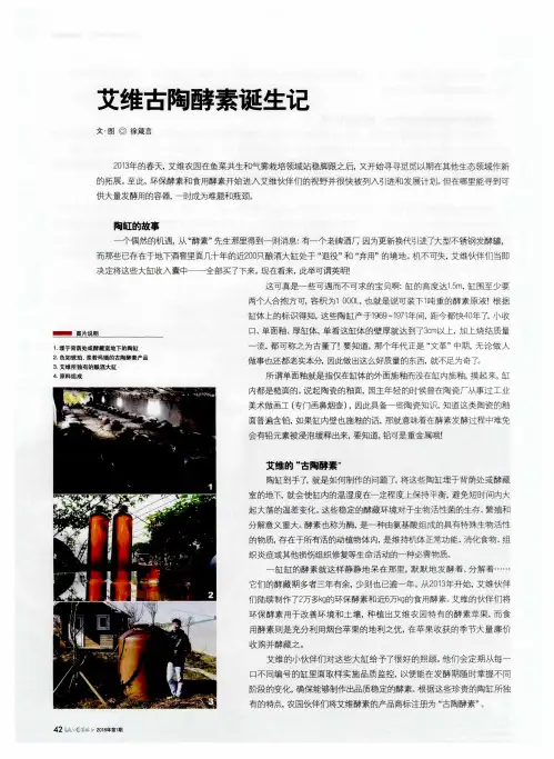 艾维古陶酵素诞生记
