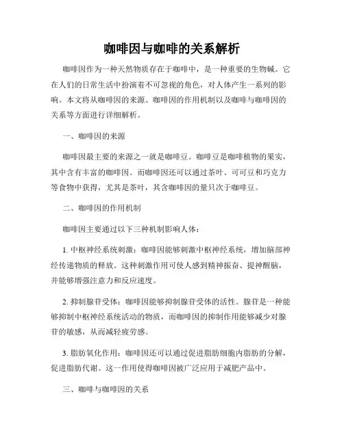 咖啡因与咖啡的关系解析