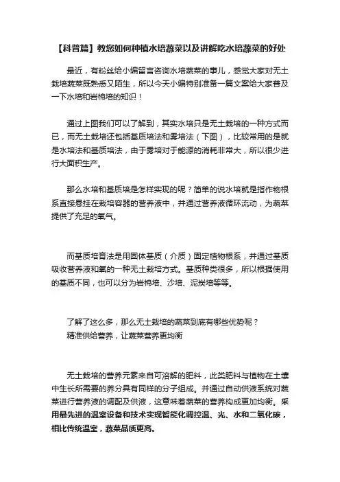 【科普篇】教您如何种植水培蔬菜以及讲解吃水培蔬菜的好处
