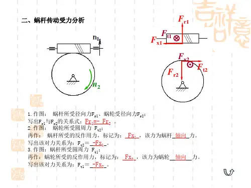 涡轮蜗杆受力分析