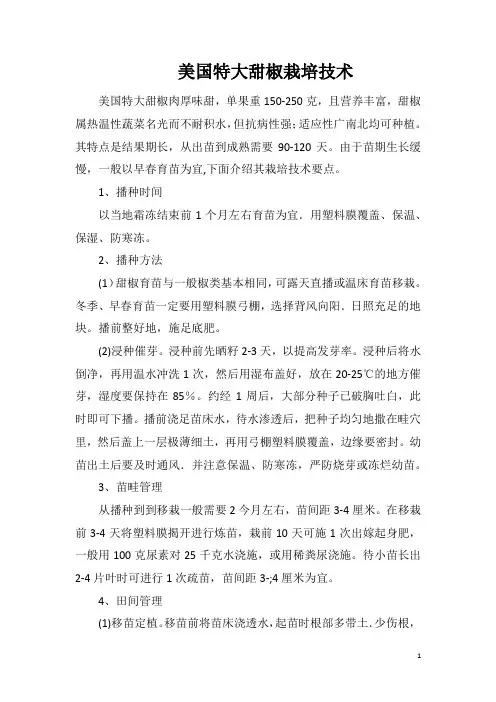 美国特大甜椒栽培技术