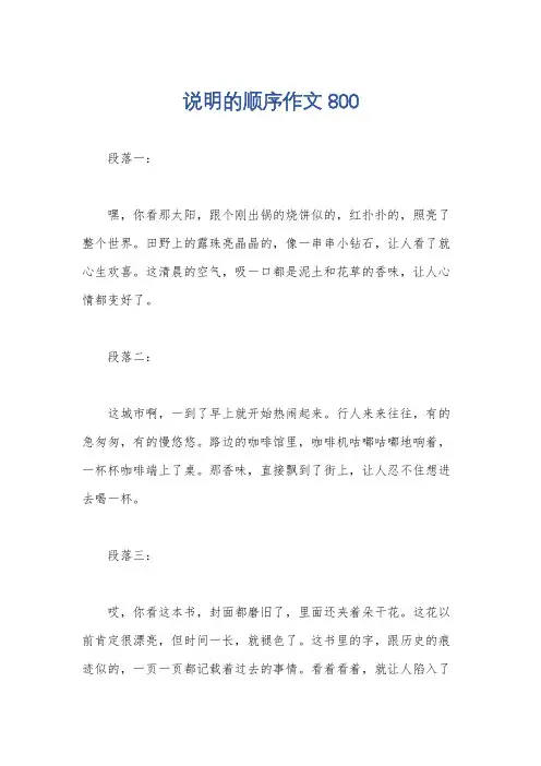 说明的顺序作文800