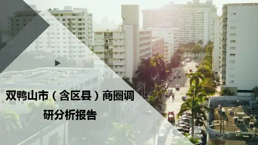 双鸭山市(含区县)商圈调研分析报告