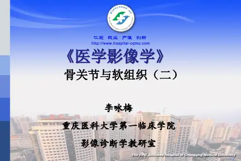 03.骨骼与肌肉系统影像诊断-