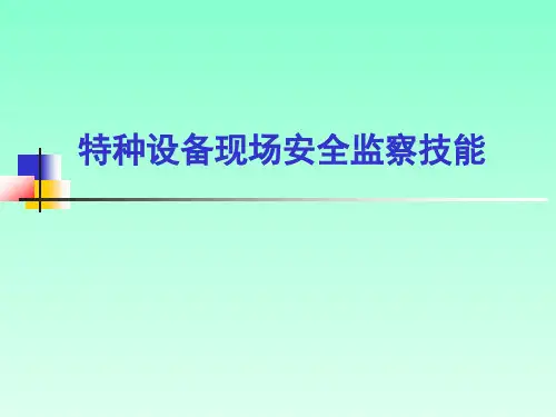 特种设备现场安全监察技能