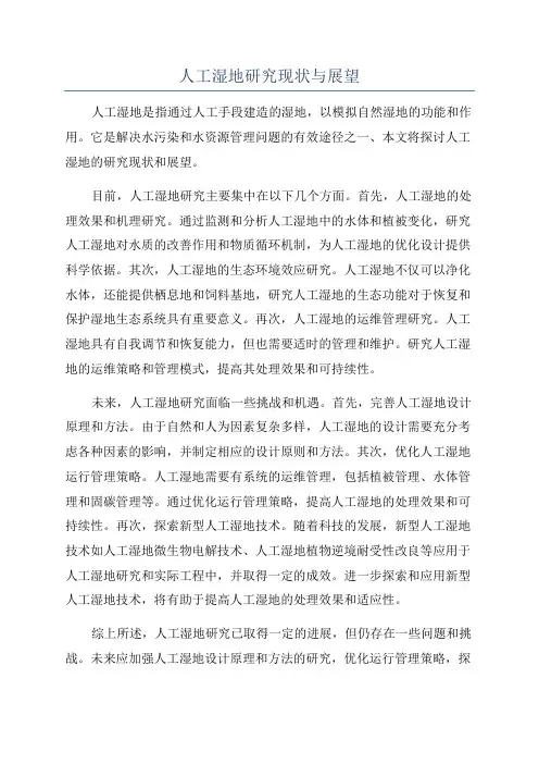 人工湿地研究现状与展望