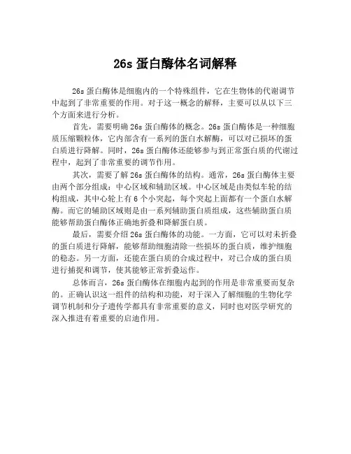 26s蛋白酶体名词解释