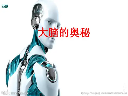 [课件]大脑的奥秘PPT