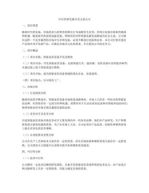 可行性研究报告范文某公司