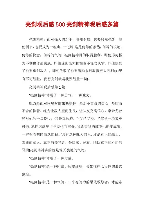 亮剑观后感500亮剑精神观后感多篇