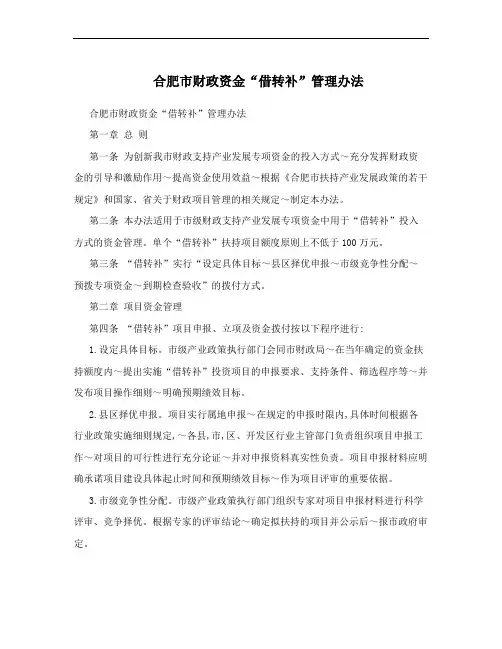 合肥市财政资金“借转补”管理办法