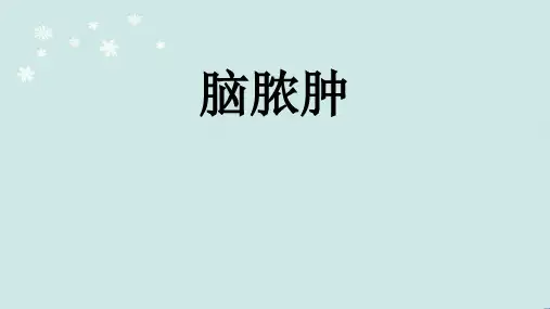 脑脓肿ppt课件